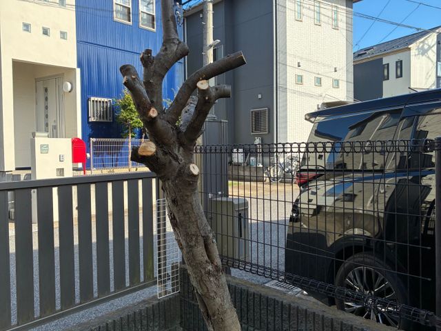 サービスの画像