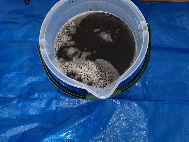 サービスの画像