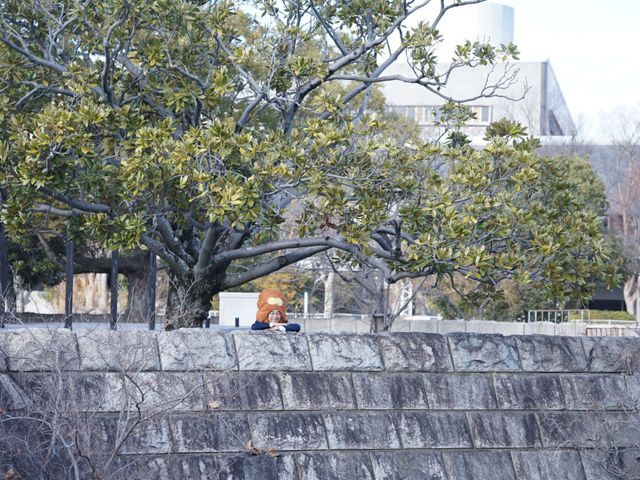 サービスの画像