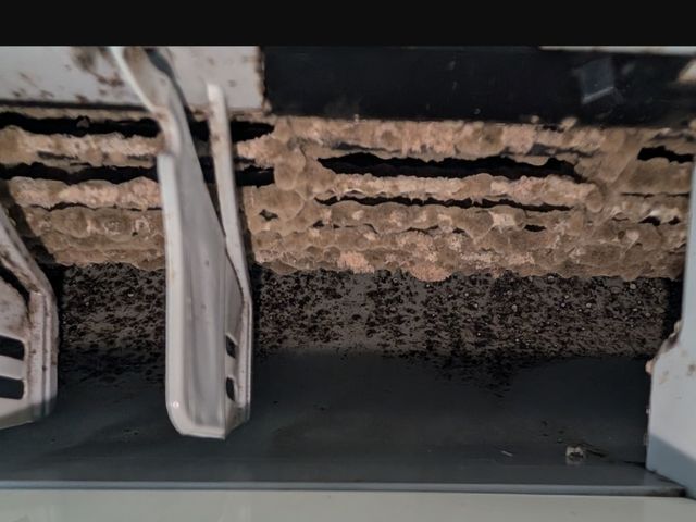 サービスの画像