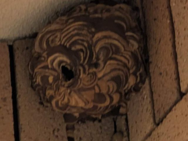 サービスの画像