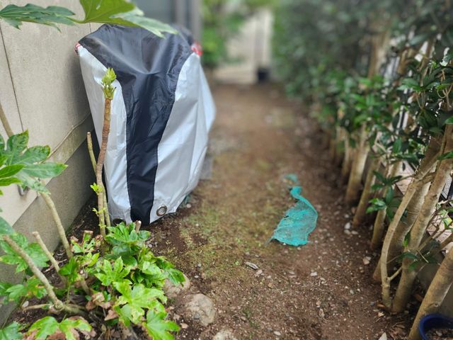 サービスの画像