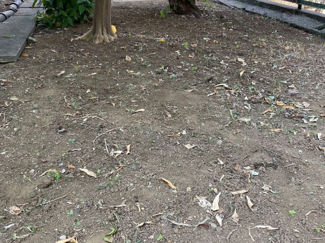 サービスの画像