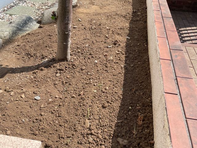 サービスの画像