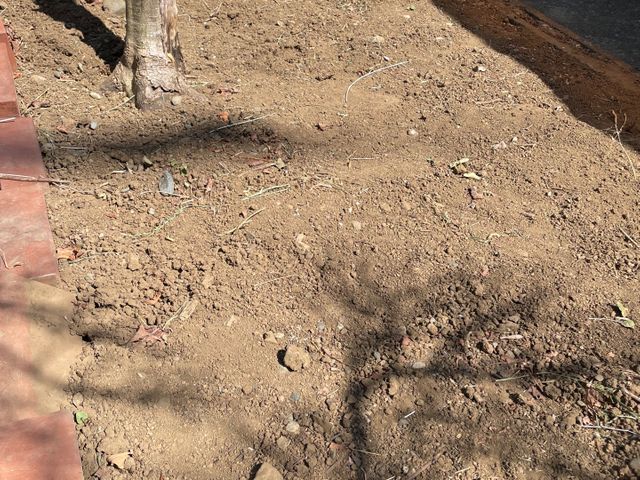 サービスの画像