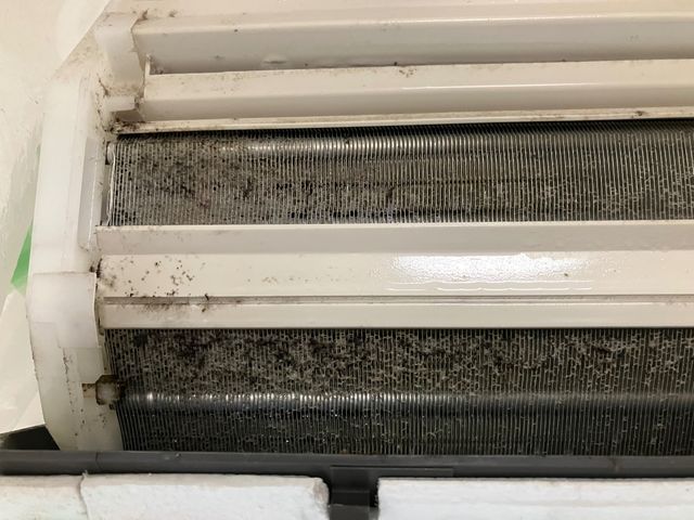 サービスの画像