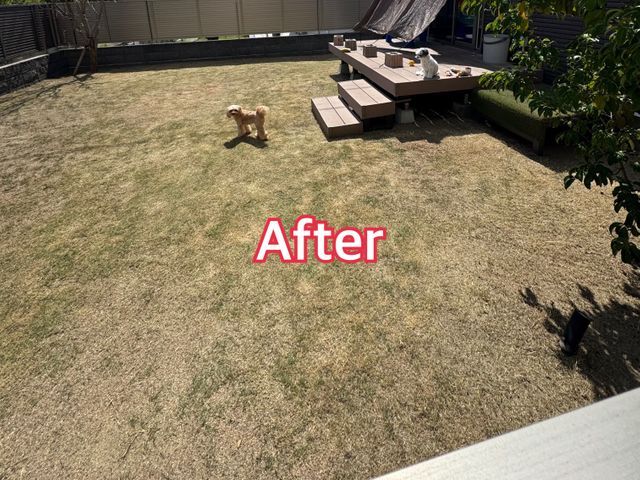 サービスの画像