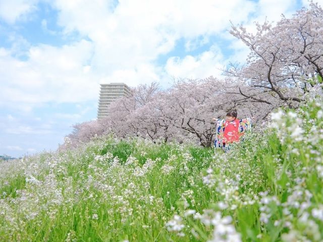 サービスの画像