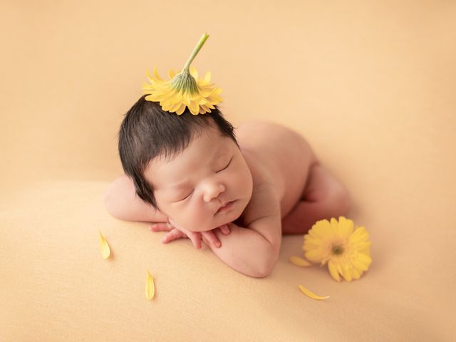 サービスの画像