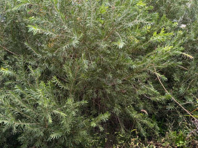 サービスの画像