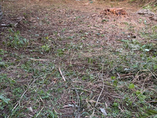 サービスの画像