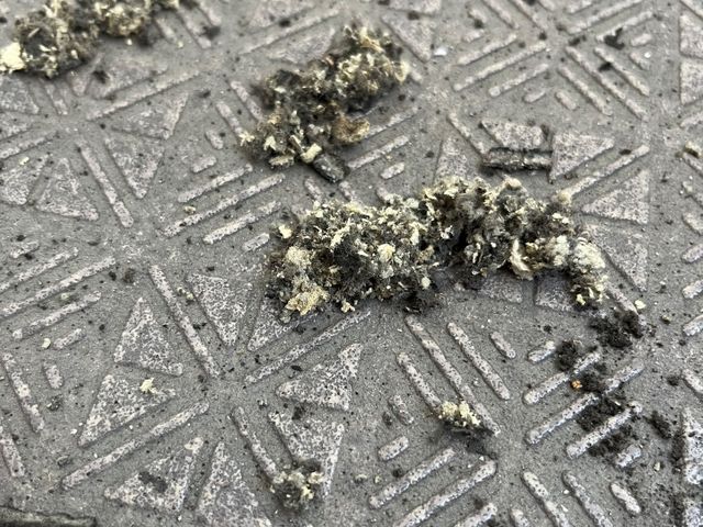 サービスの画像