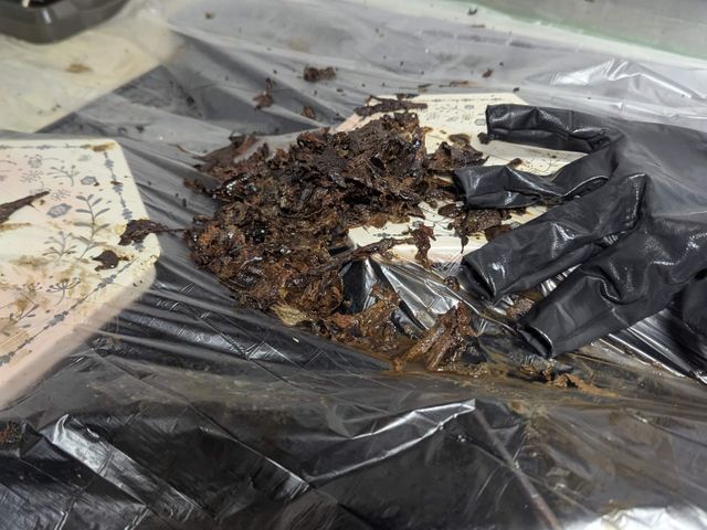 サービスの画像