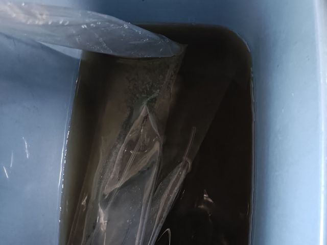 サービスの画像
