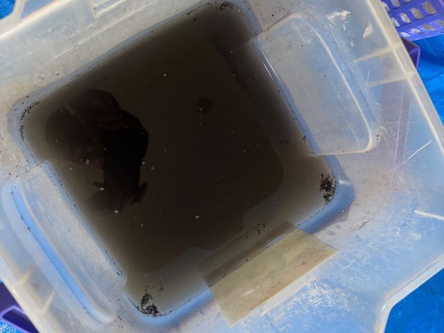 サービスの画像