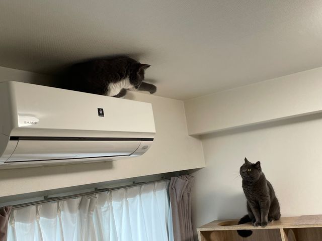 サービスの画像