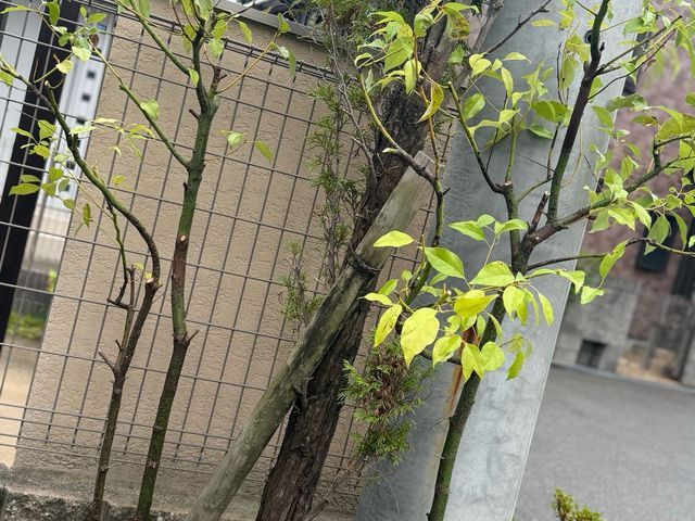 サービスの画像