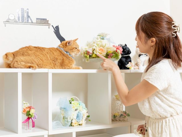 サービスの画像