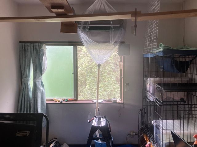 サービスの画像