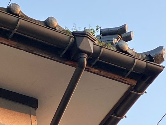 サービスの画像