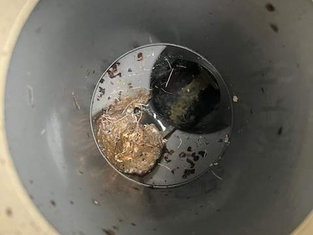 サービスの画像