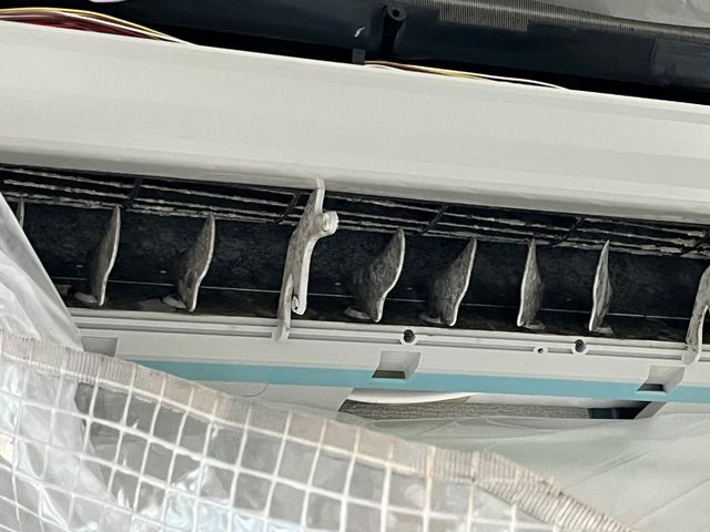 サービスの画像