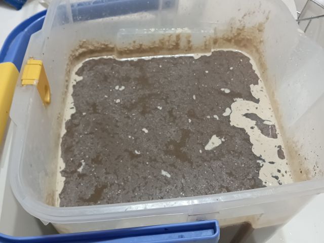 サービスの画像