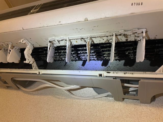 サービスの画像