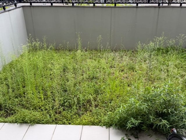 サービスの画像