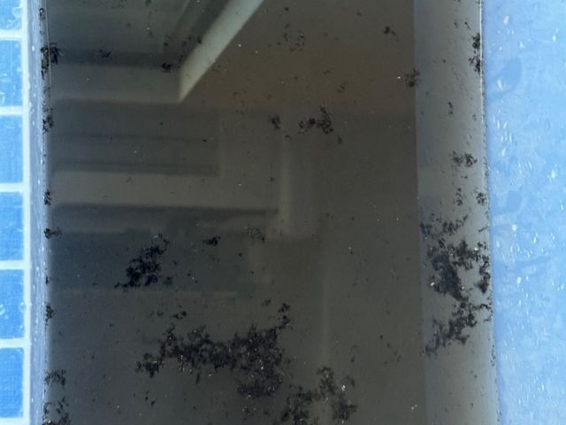 サービスの画像