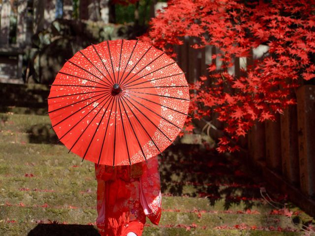 サービスの画像