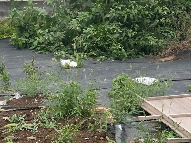 サービスの画像