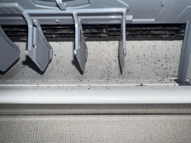 サービスの画像