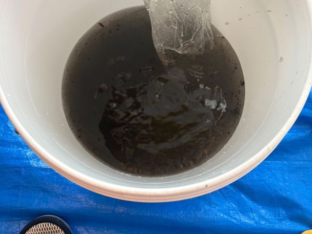 サービスの画像