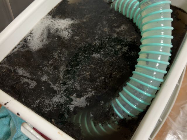 サービスの画像