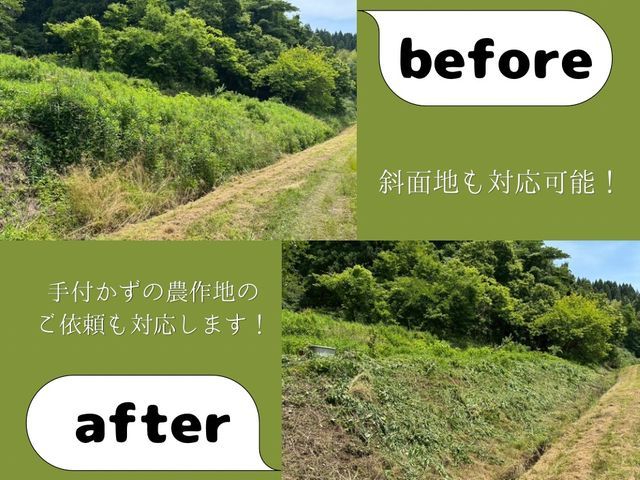 【丸投げOK】顧客満足度重視！草刈り・雑草処分込みでスッキリ解決プラン