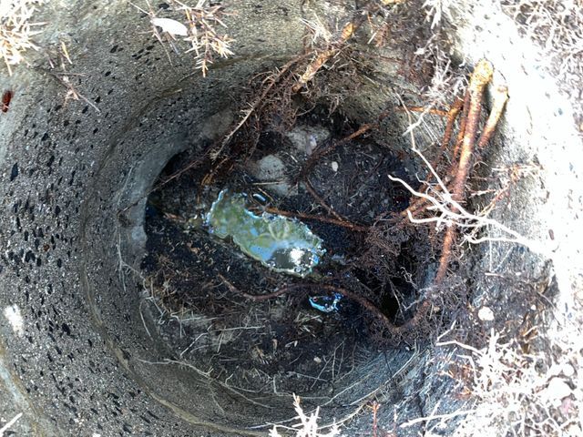 業歴25年以上の店長が直接対応！女性スタッフ同行可能で安心の排水管メンテナンス