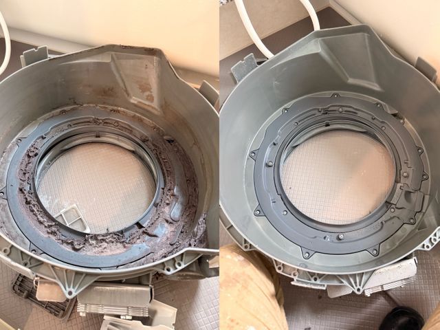 【完全分解】洗濯機クリーニング｜臭い・カビ徹底除去