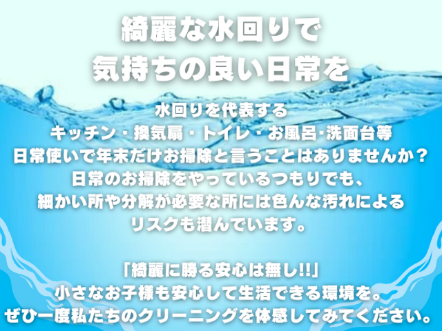 【自然由来の洗剤】特別価格◉23000円⇒18000円♫損害保険☆大手経験◉