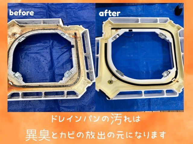 綺麗好きな性格で、カビ/汚れを見逃すことが出来ないクリーニング　業務用も可能