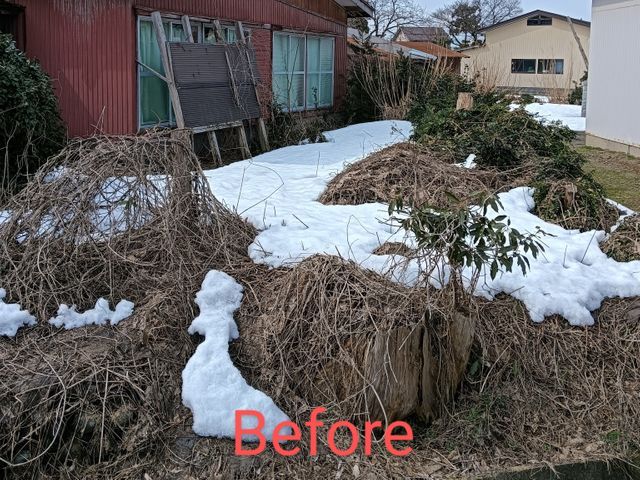 どんなしつこい根っこも根こそぎ取ります。