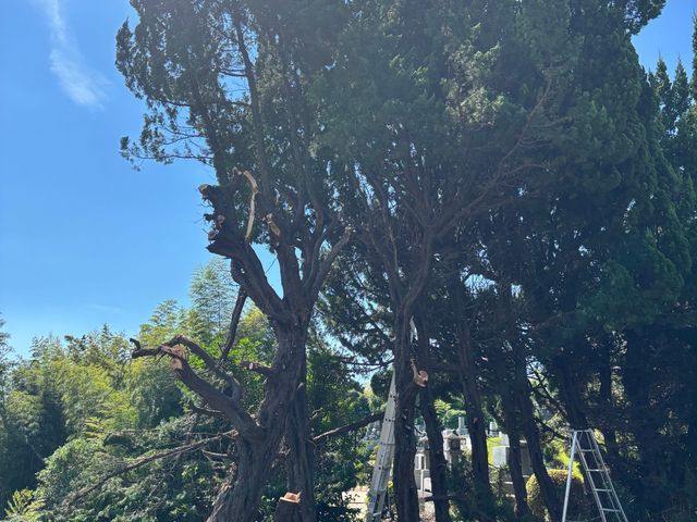 プロの技術でご満足いただけるように心を込めて作業いたします