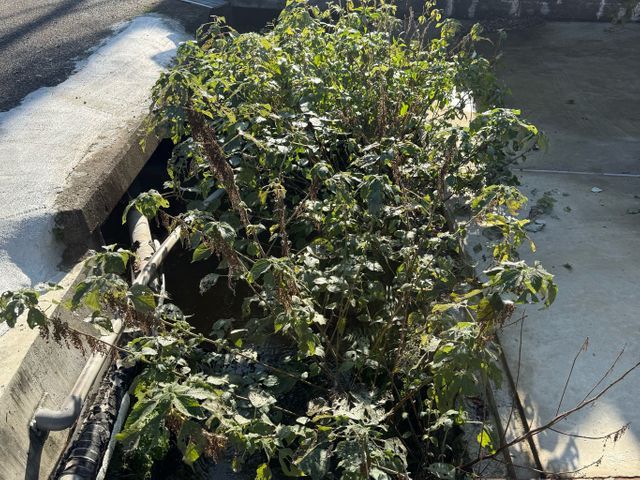 丁寧な仕上がりとアフターフォロー万全の出張サービス