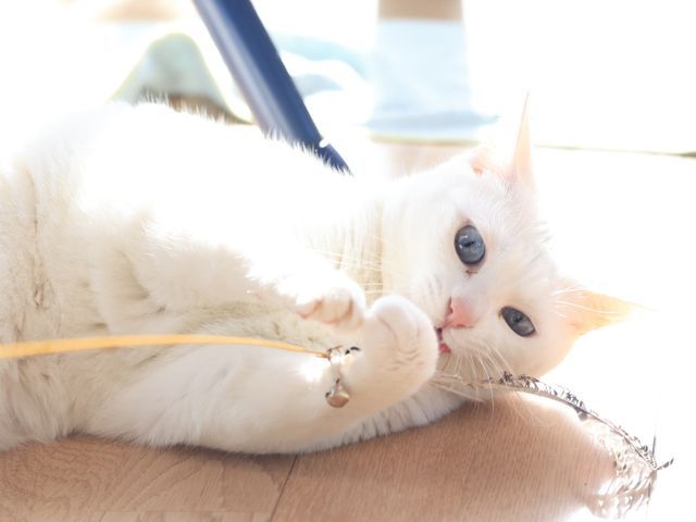 プロの技術でご満足いただけるように心を込めて撮影いたします