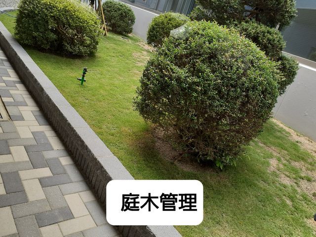 庭木の剪定、草刈り、庭木埋め込み、庭木管理
