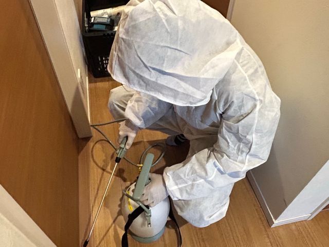 ★飲食店や大手食品メーカーの品管経験20年以上のベテランが対応★早朝夜間対応可