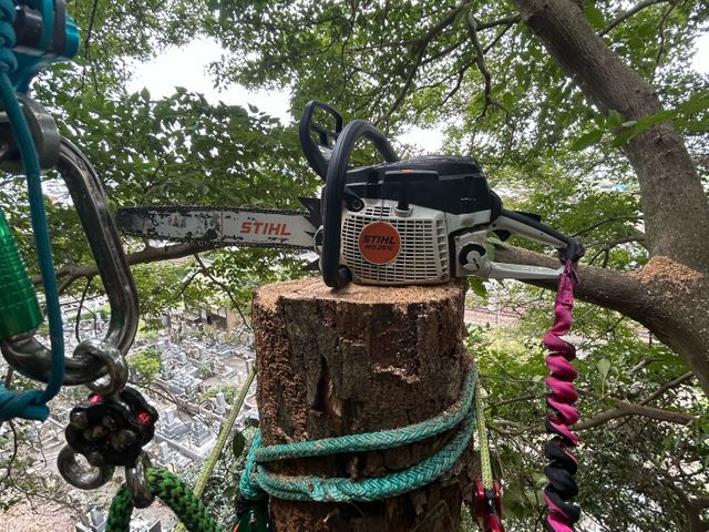 【Arborlog】◎伐採専門店◎倒せない場所でもロープ伐採安全確実対応