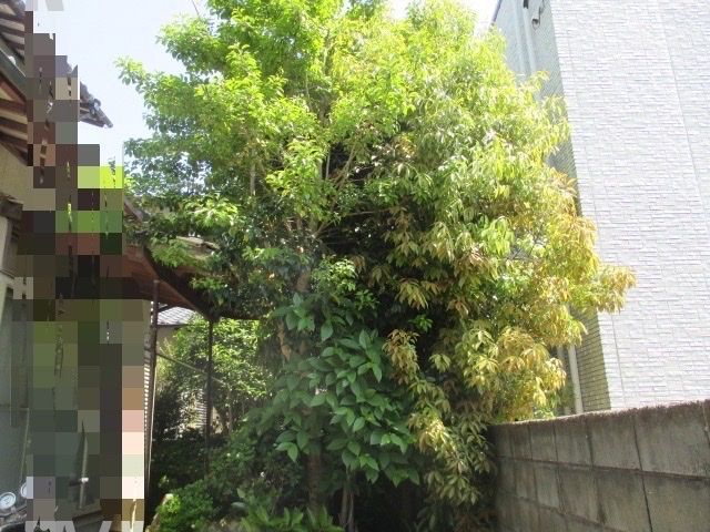 大手仕込みの技術と丁寧な対応致します！荒れたお庭もお任せください！