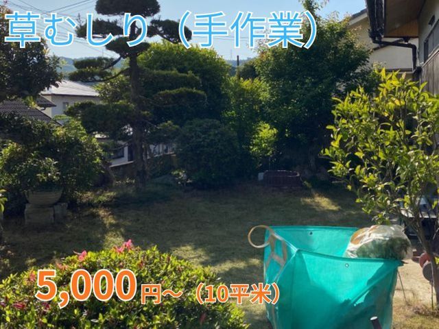 【地域密着店】お庭やお店周りの草刈りはお任せ下さい。丁寧に作業いたします。