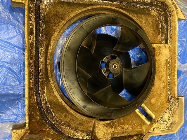 ◎安心の法人でアフターサポートもバッチリ◎年間1000台以上実績◎損害保険加入